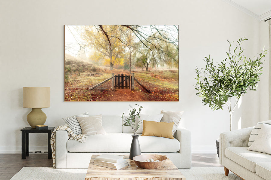 Golden Valley Tree Park, Balingup, South Western Australia - LIMITED EDITION