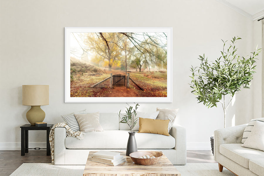 Golden Valley Tree Park, Balingup, South Western Australia - LIMITED EDITION