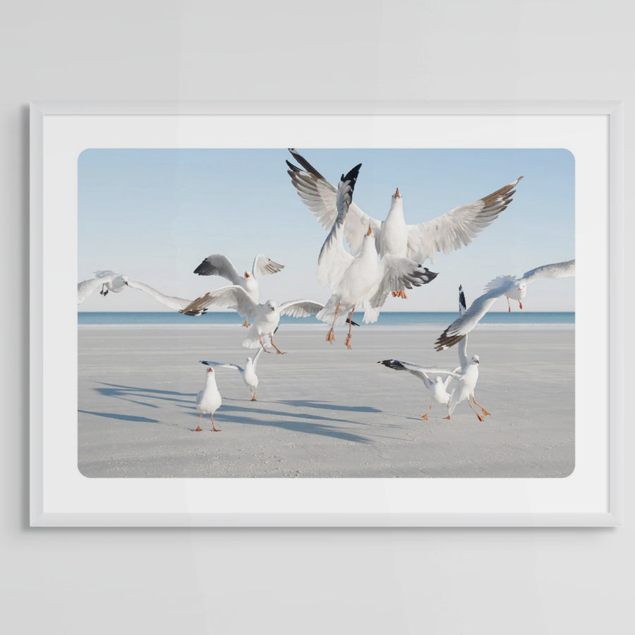 Flock of Seagulls at Cable Beach, Broome, Limited Edition 83x125cm Framed in white