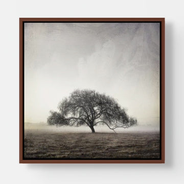 Cowaramup 25x25cm stretched canvas with Jarrah shadow line frame