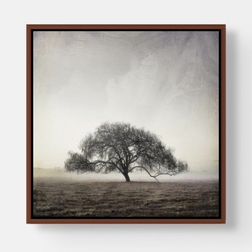 Cowaramup 25x25cm stretched canvas with Jarrah shadow line frame