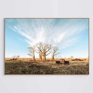 Boab Trees, Derby LIMITED EDITION 1/1 116X175CM FRAMED STRETCHED CANVAS WITH timber SHADOW LINE FRAME