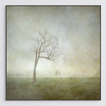 Quindalup Fog LIMITED EDITION 1/1 120X120CM FRAMED STRETCHED CANVAS WITH CHARCOAL SHADOW LINE FRAME