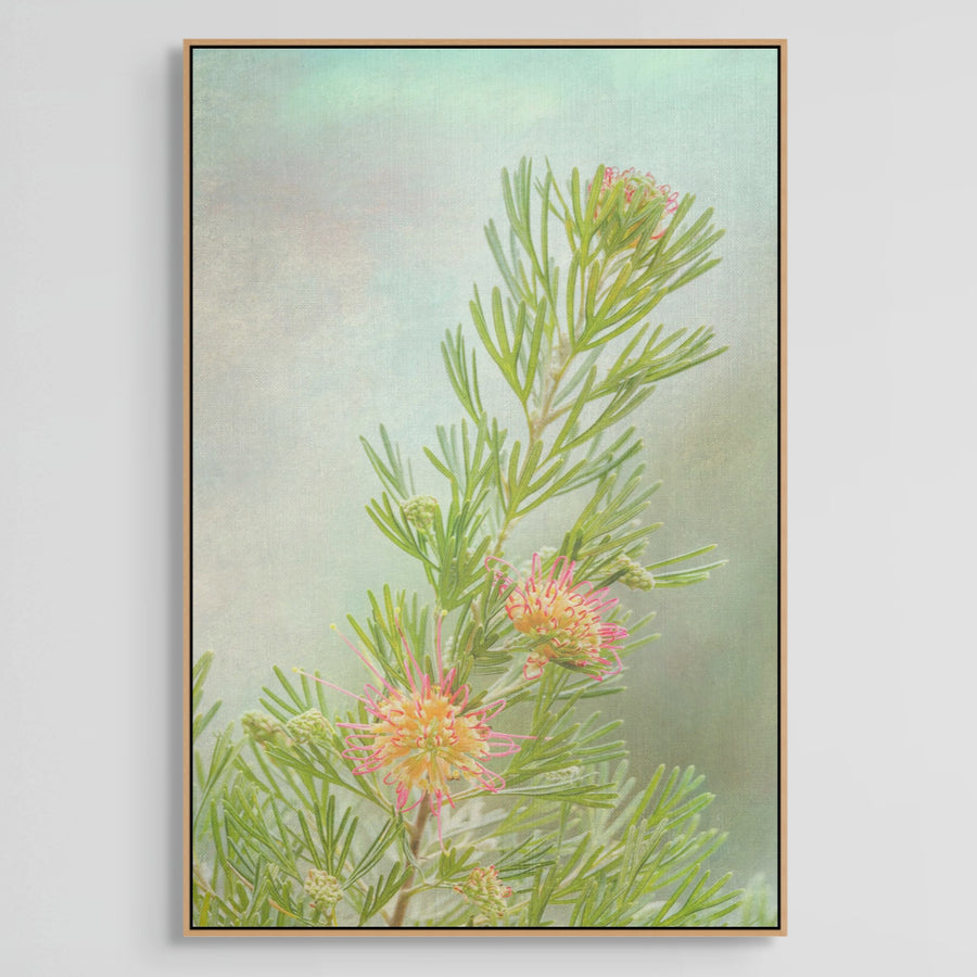 Grevillea Limited Edition 1/1 -  67x100cm Stretched Canvas with handcrafted Marri Timber Frame
