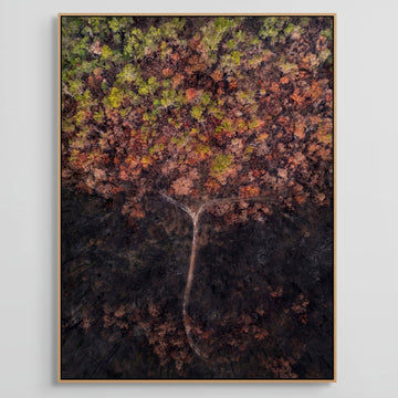 Forest Fire, Jarrahwood - Limited Edition 1/1 75 x 100cm Stretched Canvas with handcrafted feature Marri Shadow Line Frame