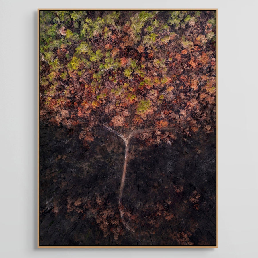 Forest Fire, Jarrahwood - Limited Edition 1/1 75 x 100cm Stretched Canvas with handcrafted feature Marri Shadow Line Frame