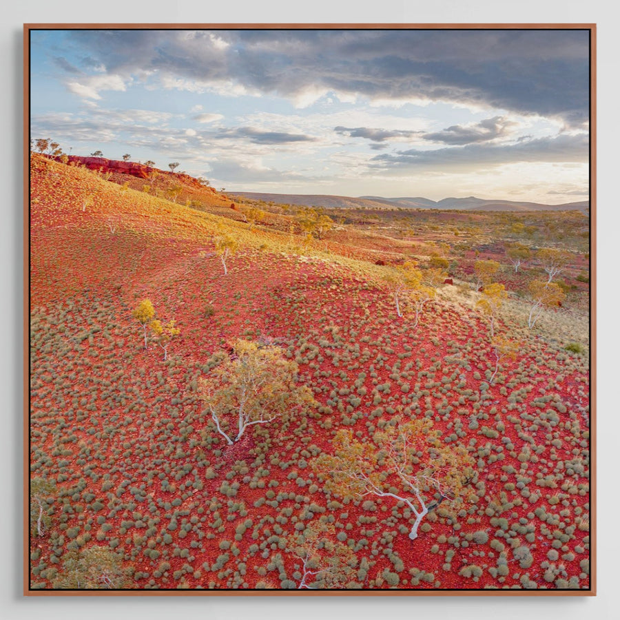 Karijini National Park Limited Edition 75x75cm Stretched Canvas with Handcrafted feature Marri Frame