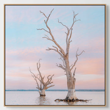 Lake Bonney, 25x25cm Framed stretched canvas with oak shadow line frame
