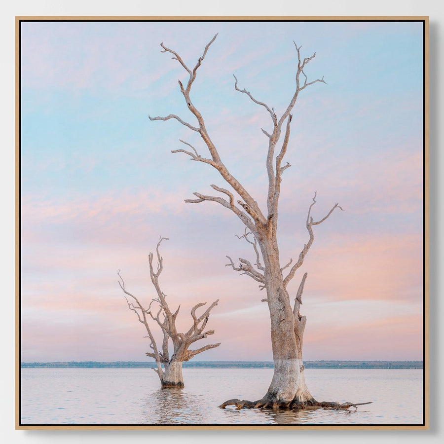 Lake Bonney, 25x25cm Framed stretched canvas with oak shadow line frame
