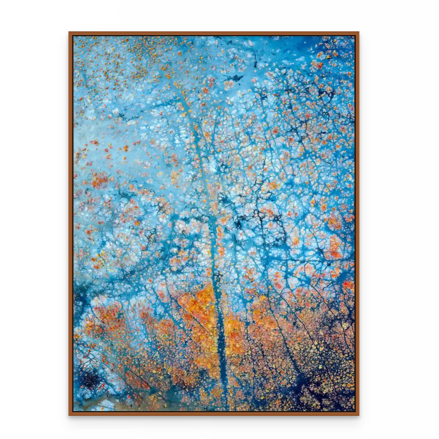 Busselton Wetlands 75x100cm Stretched Canvas With Hand Crafted Karri Shadow Line Frame