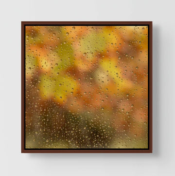 Rain drops, Meelup Beach 25x25cm Framed stretched canvas with jarrah shadow line frame