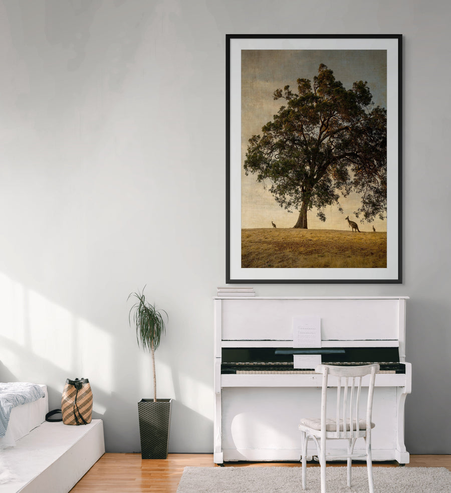 Kangaroos under the Marri Tree - LIMITED EDITION