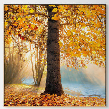 Autumn tree, 25x25cm Framed stretched canvas with oak shadow line frame