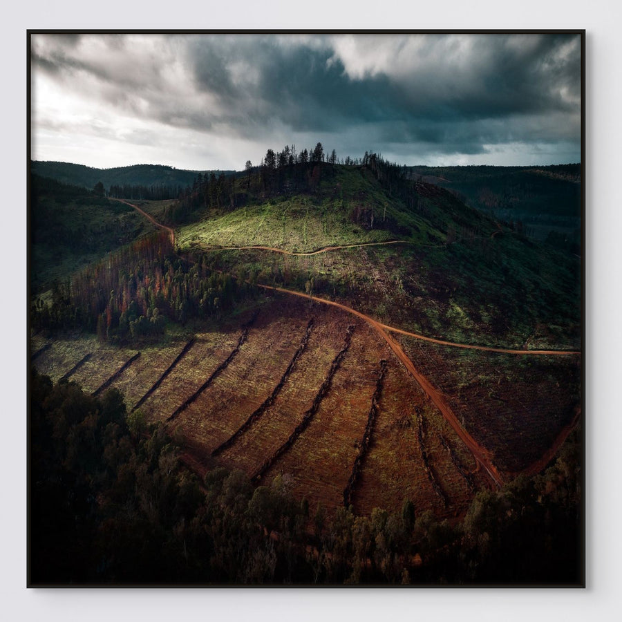 BALINGUP - NANNUP ROAD 95x95cm Stretched Canvas in Black Shadow Line