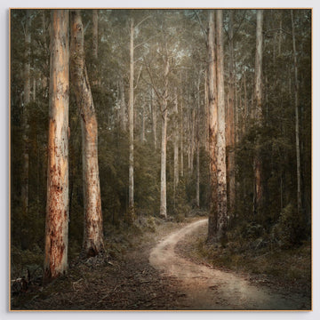 PEMBERTON LIMITED EDITION 1/1 135X135CM FRAMED STRETCHED CANVAS WITH TIMBER SHADOW LINE FRAME