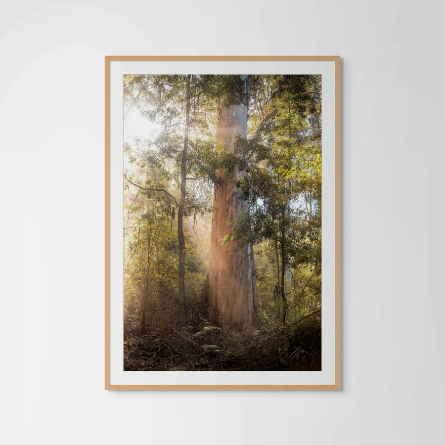 Pemberton 33x50cm Framed in Timber