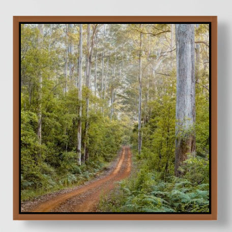 Karri Forest 25x25cm Framed stretched canvas with Karri shadow line frame