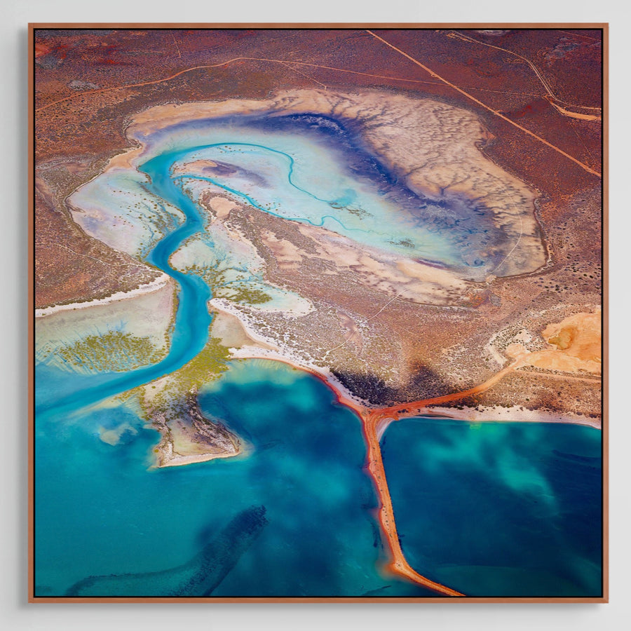 Shark Bay Limited Edition 1/1 - 100x100cm Stretched Canvas with handcrafted Jarrah Timber Frame