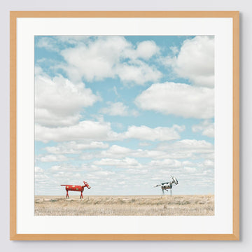 Tin Horse Highway, Kulin - 15/25 Limited Edition - 65 x 65cm Framed in Timber with Non-Reflective Glass