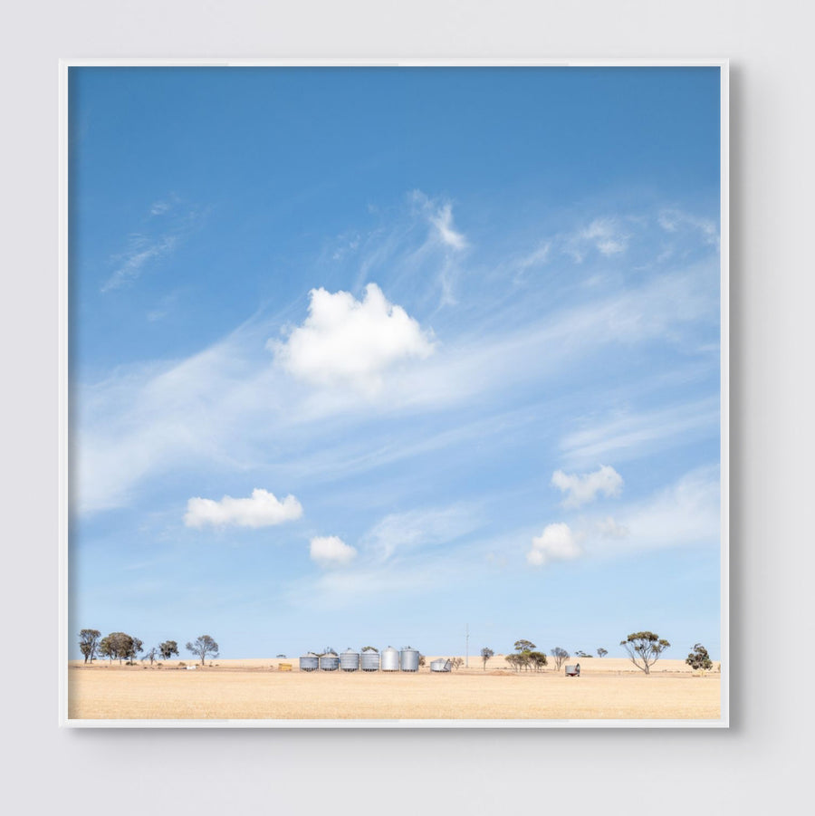 Farmland, 25x25cm Framed stretched canvas with White shadow line frame