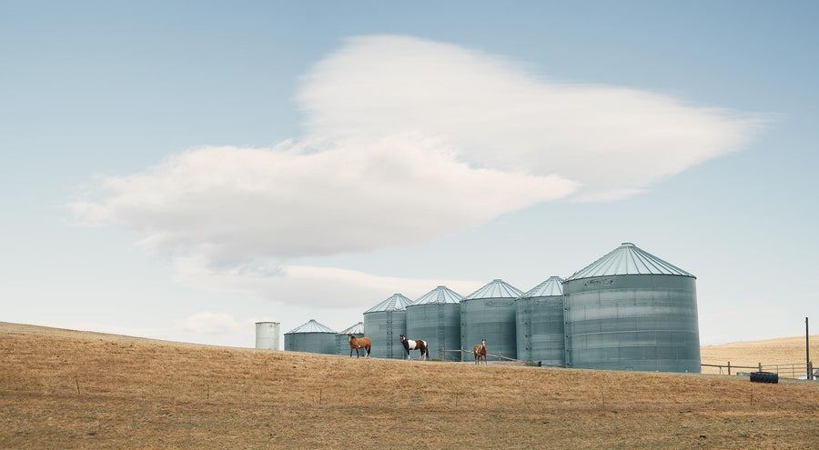 Wheat Silo's, The Palouse, Washington, USA, LTD | Christian Fletcher Photo Images | Landscape Photography Australia