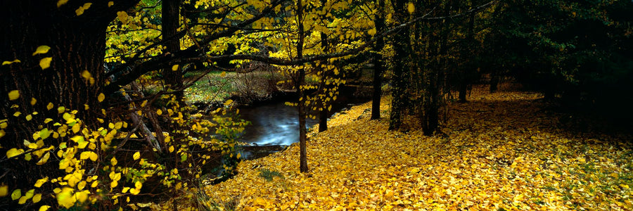 Harrietville, Victoria | Christian Fletcher Photo Images | Landscape Photography Australia