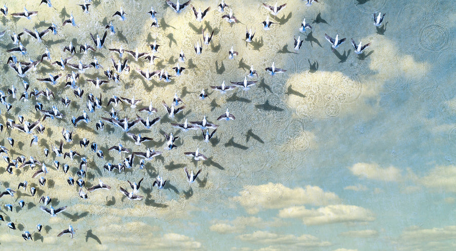 Birds over Lake Kondinin - limited edition 1/1 Framed