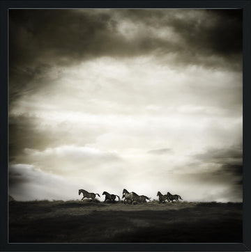 Horses, 25x25cm Framed stretched canvas with black shadow line frame