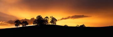 Donnybrook Farmland, South Western Australia | Christian Fletcher Photo Images | Landscape Photography Australia
