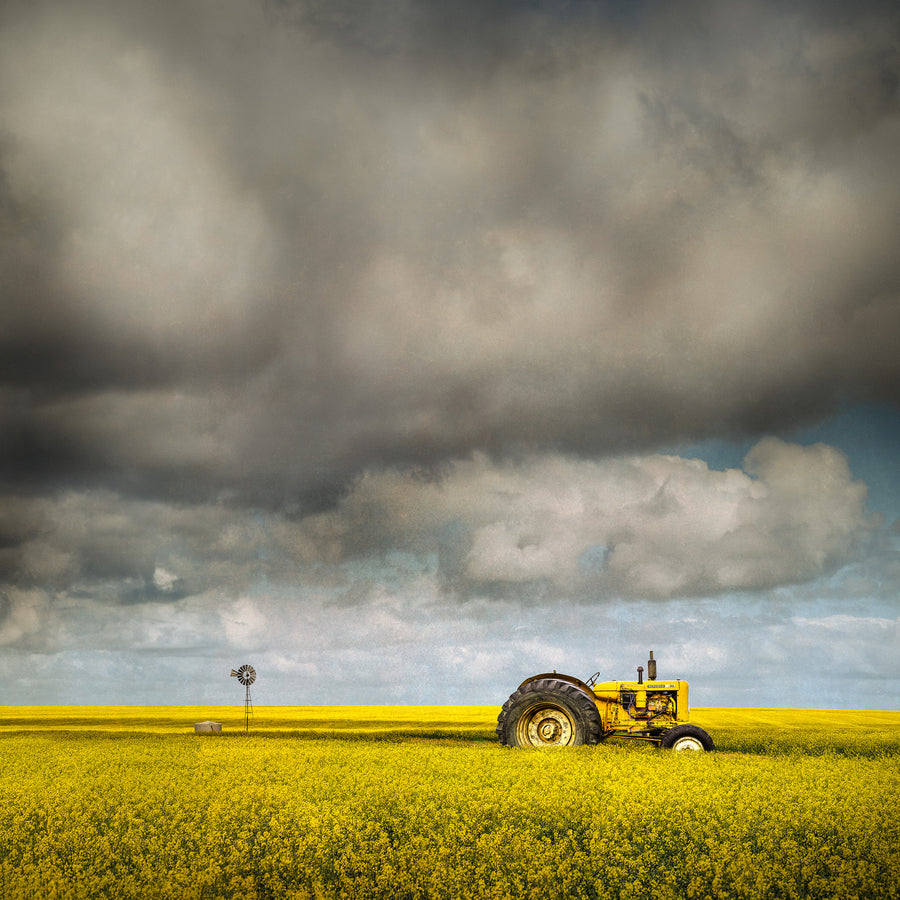 Canola + Tractor, Limited Edition 1/1, Framed 100 x 100cm Bellini Frame