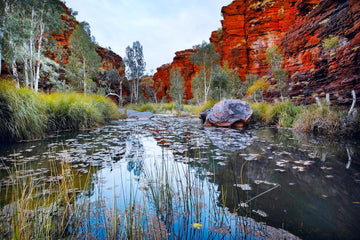 Kalamina Gorge Karijini, Pilbara, North Western Australia - Christian Fletcher Gallery