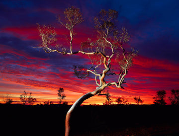 Karijini National Park, Pilbara, North Western Australia - Christian Fletcher Gallery