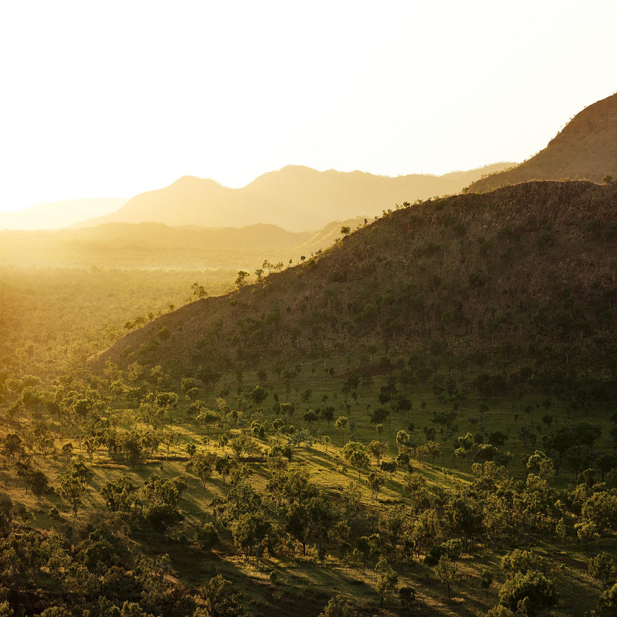 Kununurra, North Western Australia - Christian Fletcher Gallery