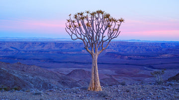 Fish River Canyon, Namibia, Africa - Christian Fletcher Gallery