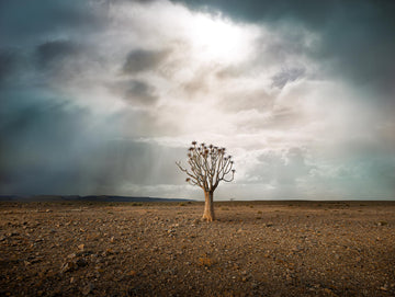 Namibia, Africa, LTD | Christian Fletcher Photo Images | Landscape Photography Australia