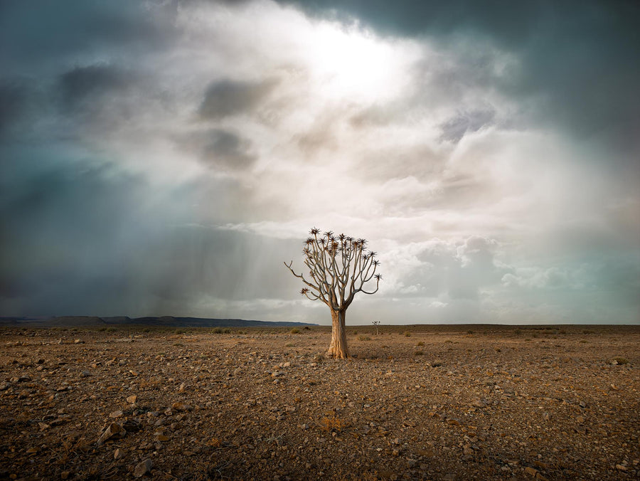Namibia, Africa, LTD | Christian Fletcher Photo Images | Landscape Photography Australia