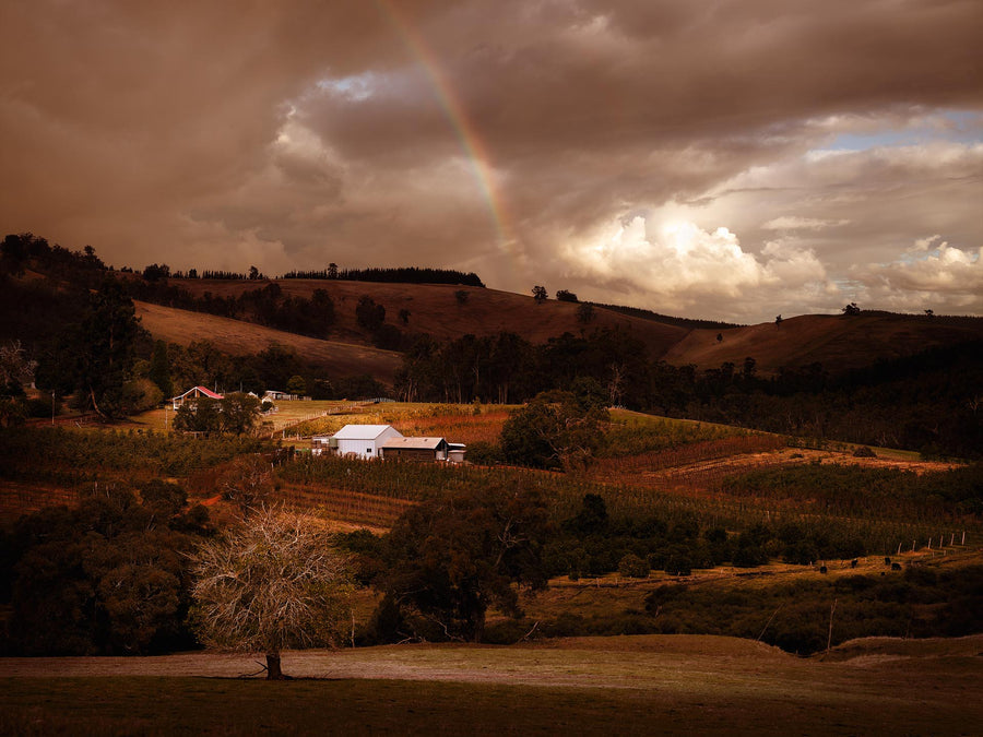 Nannup, South Western Australia - Christian Fletcher Gallery