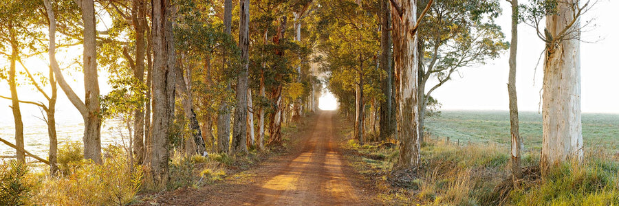 Pemberton, South Western Australia | Christian Fletcher Photo Images | Landscape Photography Australia