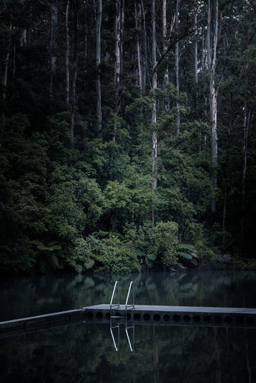 A beautiful natural swimming pool amongst the Karri Forests of Pemberton in the South West of Australia.  A still morning with tranquil water and a ladder to give easy access to the swimming hole.