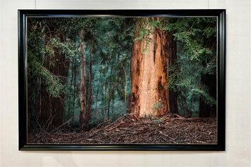 Big Brook, Pemberton, LIMITED EDITION 1/1, 116x175cm Stretched Canvas with black Bellini Frame