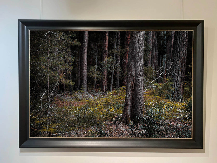 Big Brook, Pemberton, LIMITED EDITION 1/1, 116x175cm Stretched Canvas with black Bellini Frame