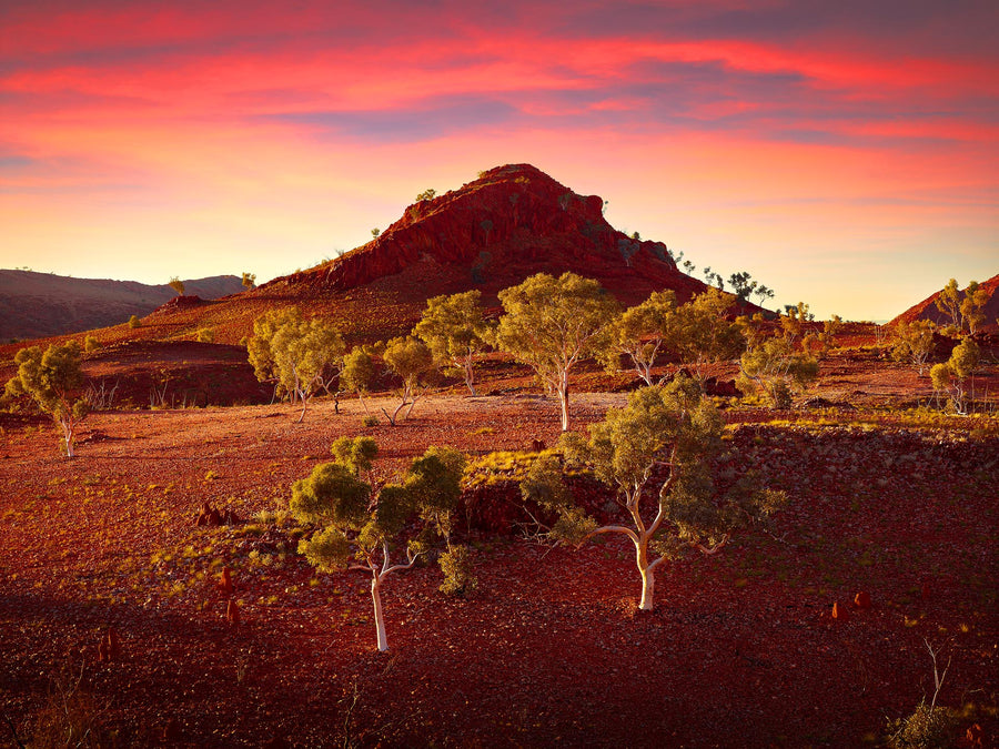 Karlamilyi National Park, North Western Australia - Christian Fletcher Gallery