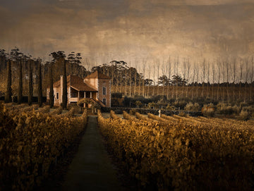 Picardy Winery, Pemberton, Western Australia | Christian Fletcher Photo Images | Landscape Photography Australia