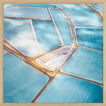Shark Bay, 25x25cm Framed stretched canvas with timber shadow line frame