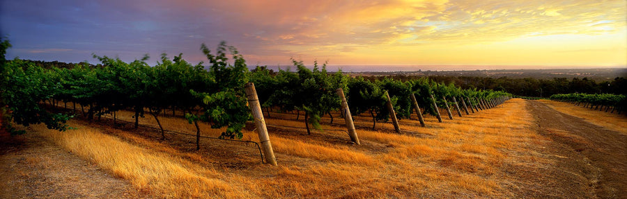 Scarf Cashmere Modal - Yungarra Winery, South Western Australia