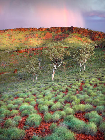 Karijini National Park, Pilbara, North Western Australia, LTD Sold out | Christian Fletcher Photo Images | Landscape Photography Australia