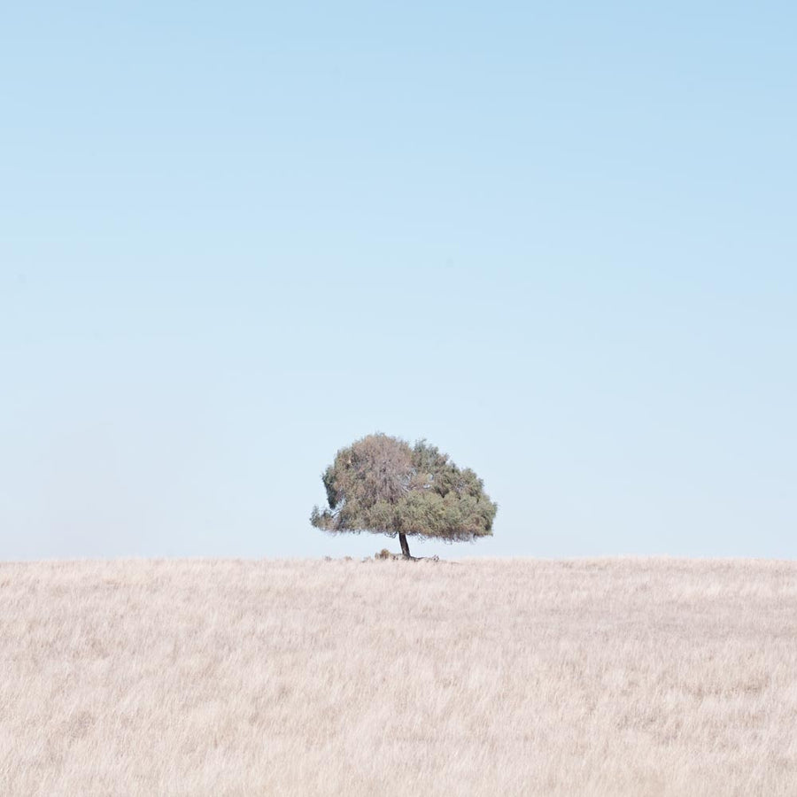 Farmland, Mid West, Western Australia | Christian Fletcher Photo Images | Landscape Photography Australia