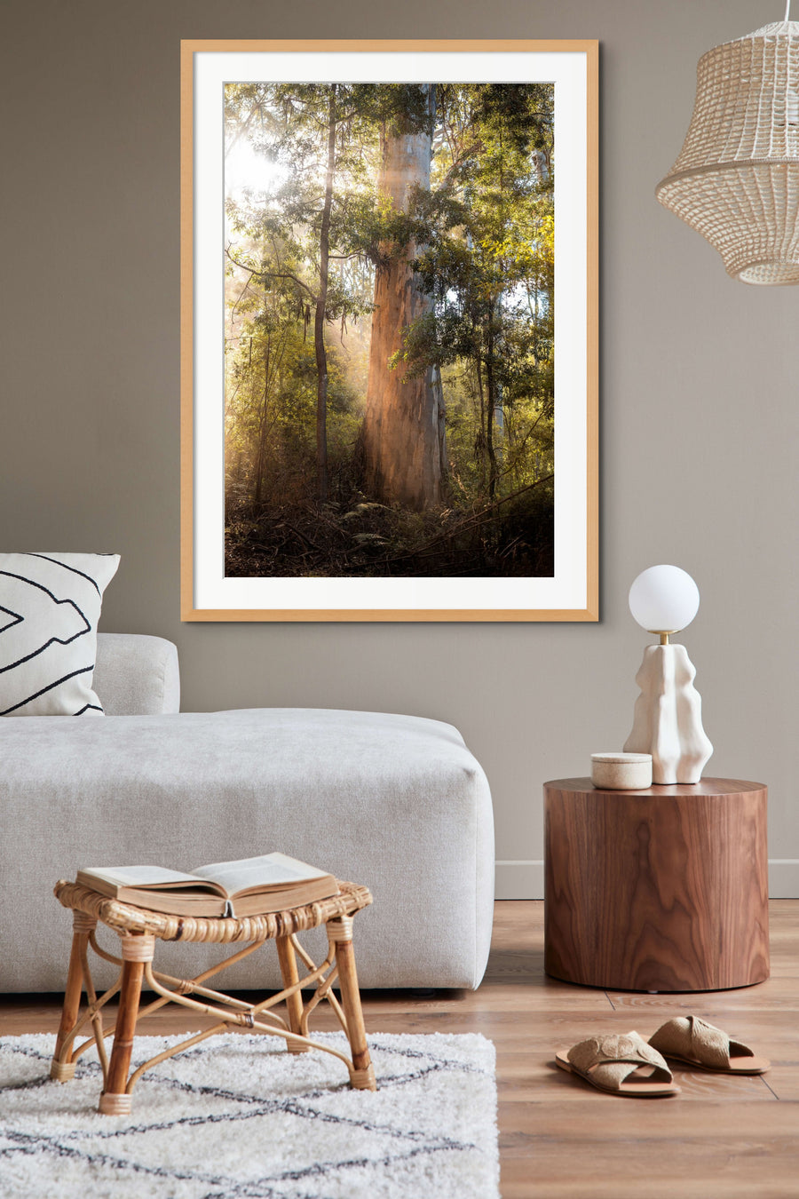 Karri forest, Pemberton, South Western Australia